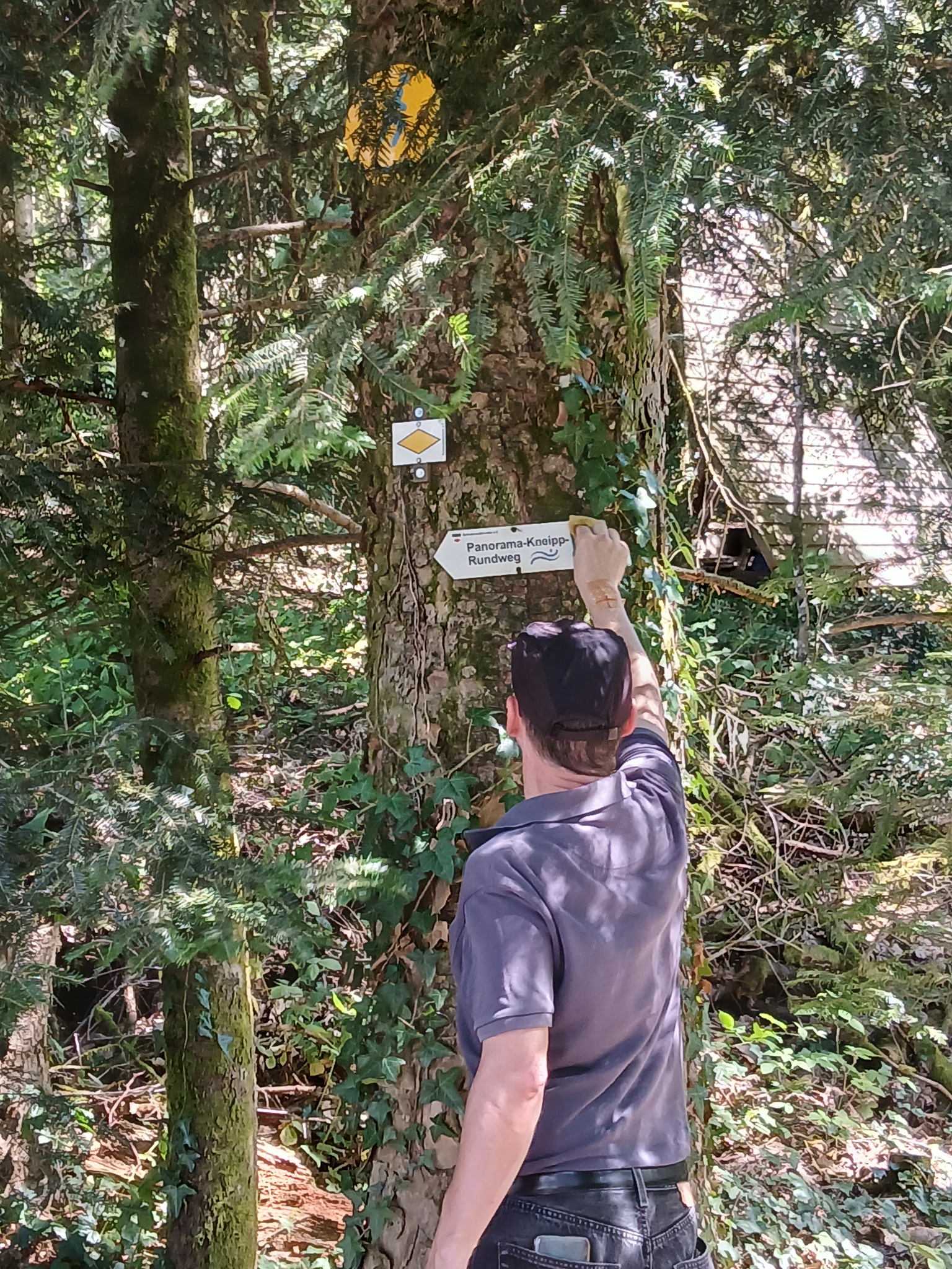 Schilder‑Putz‑Aktion