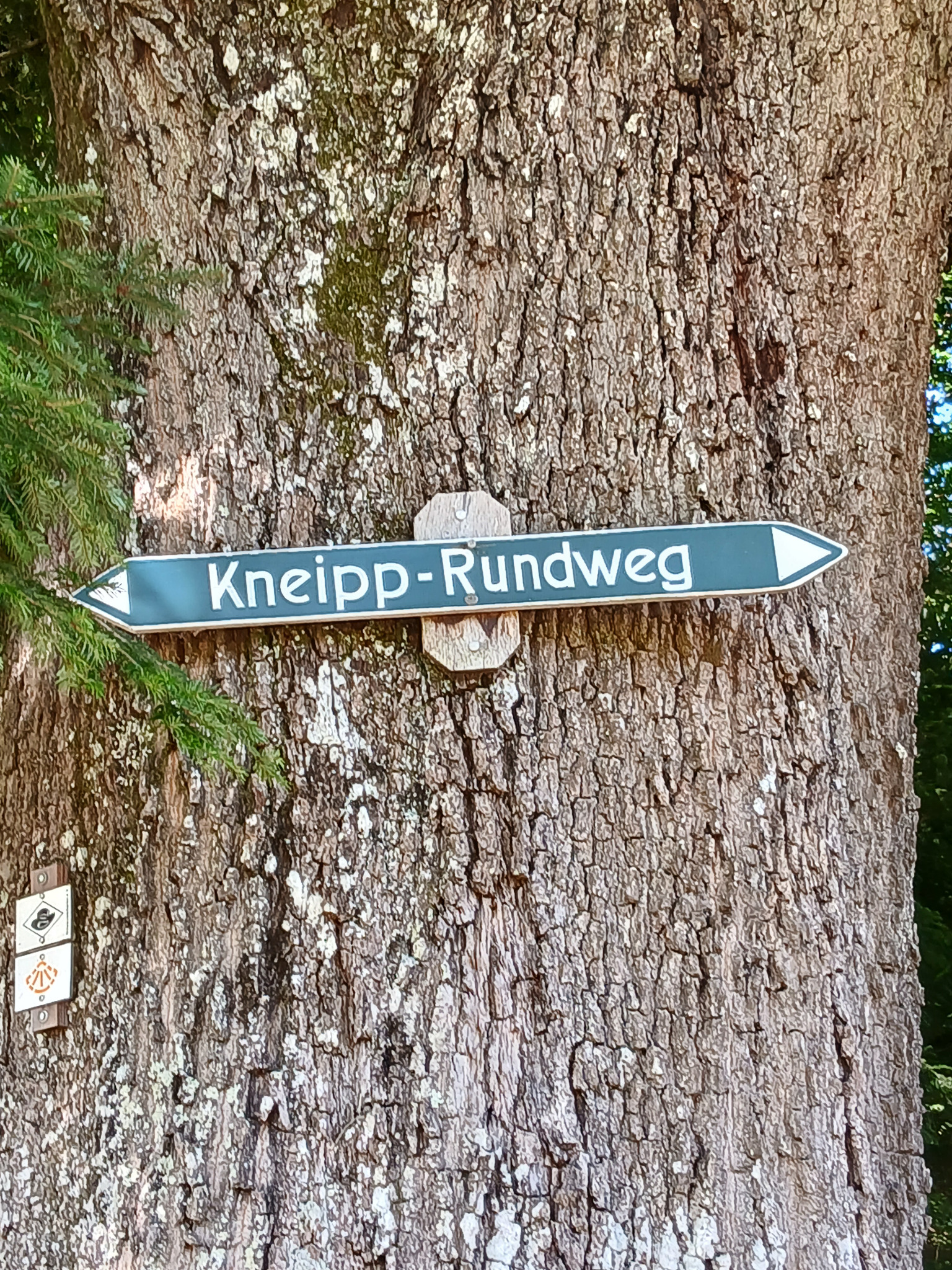 Schilder‑Putz‑Aktion